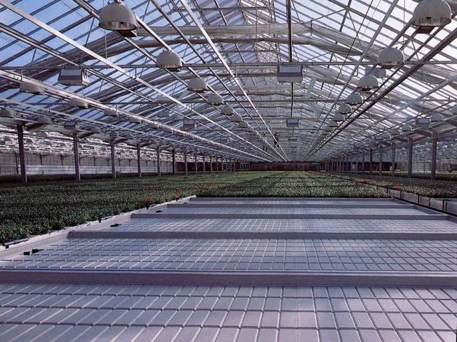 Rolling benches | Commercial Greenhouse Accessories