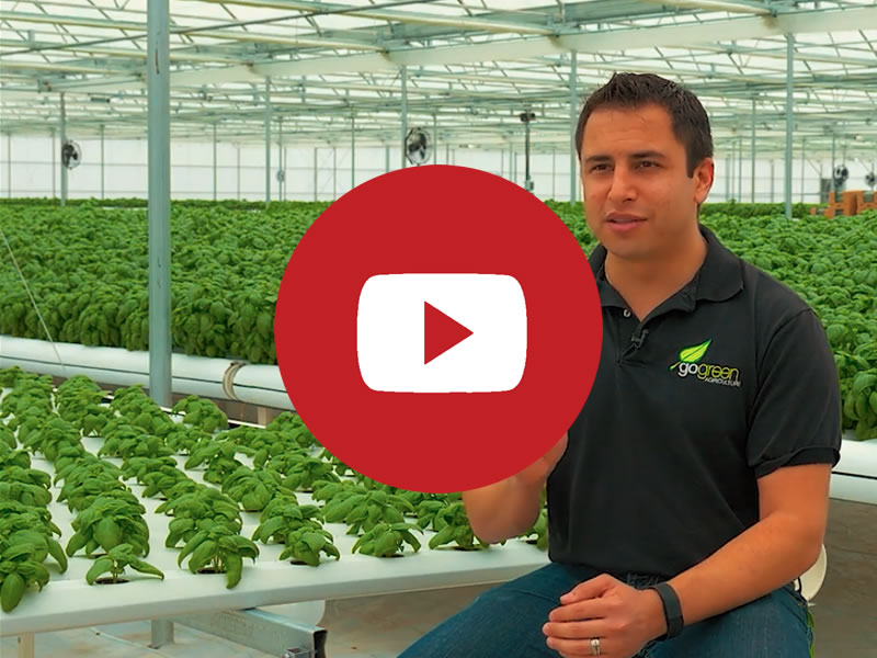GoGreen's video testimonial GoGreen | Commercial Greenhouse Manufacturer