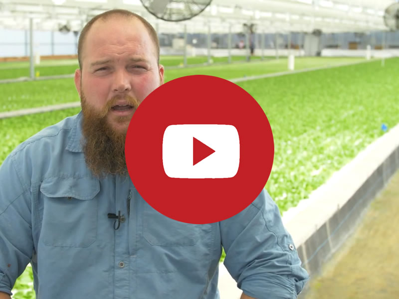 Fresh Farm Aquaponics's video testimonial Fresh Farm Aquaponics | Commercial Greenhouse Manufacturer
